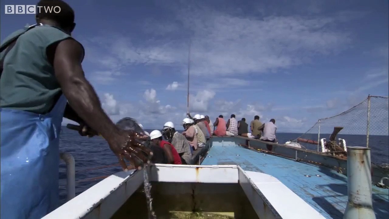 Tuna Fishing - South Pacific