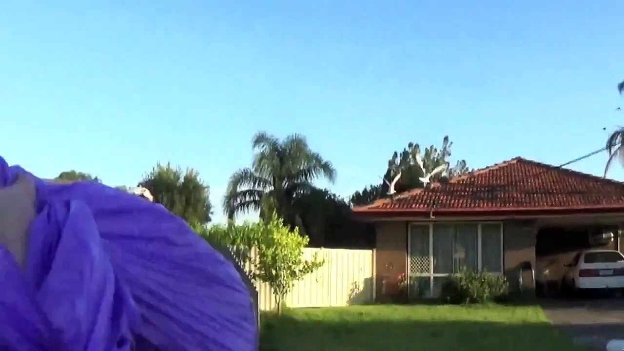 How To Roast Justin Bieber Reaction! Dailymotion Video