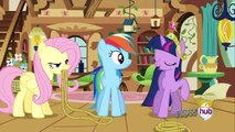My Little Pony: Friendship is Magic A True True Friend [1080p]