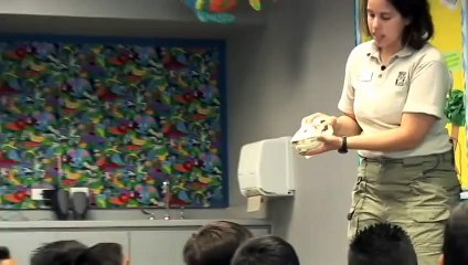 Adventure Classes at the Houston Zoo