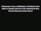 Yellowstone Trees & Wildflowers: A Folding Pocket Guide to Familiar Species of the Yellowstone