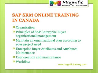 SAP SRM ONLINE TRAINING IN SOUTH AFRICA|GAERMANY