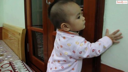 Vlog 194 Em Ngựa tò mò ( family.vn )