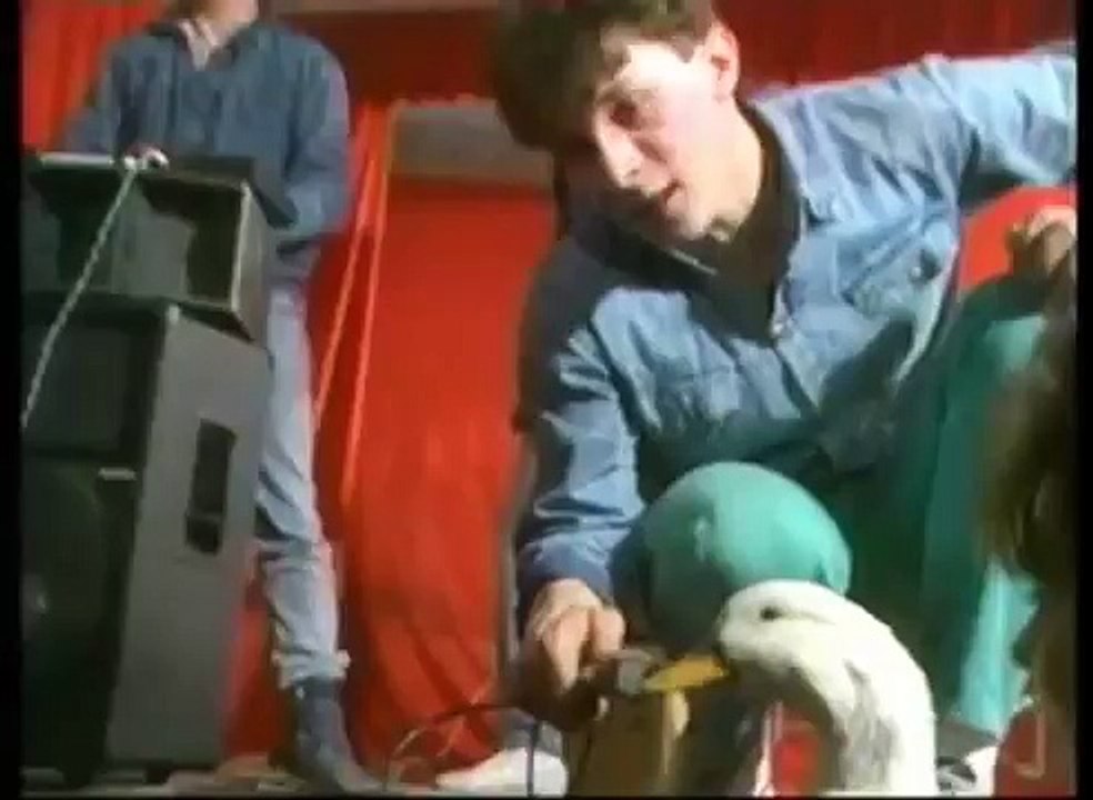 Андрей Разин - Гадкий утенок