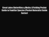 Great Lakes Butterflies & Moths: A Folding Pocket Guide to Familiar Species (Pocket Naturalist