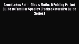 Great Lakes Butterflies & Moths: A Folding Pocket Guide to Familiar Species (Pocket Naturalist