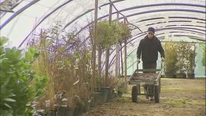 Dans les jardins, c'est le printemps en décembre !