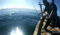 Saltwater Fishing ,Mackerel On Handline