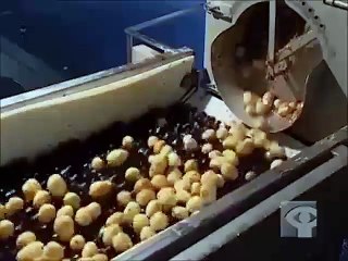 Cách khoai tây chiên được làm ra !