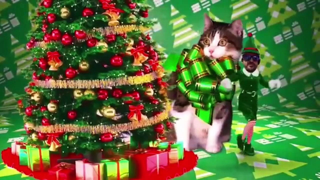 BUON NATALE AMANTI DELLA FORMULA 1 !