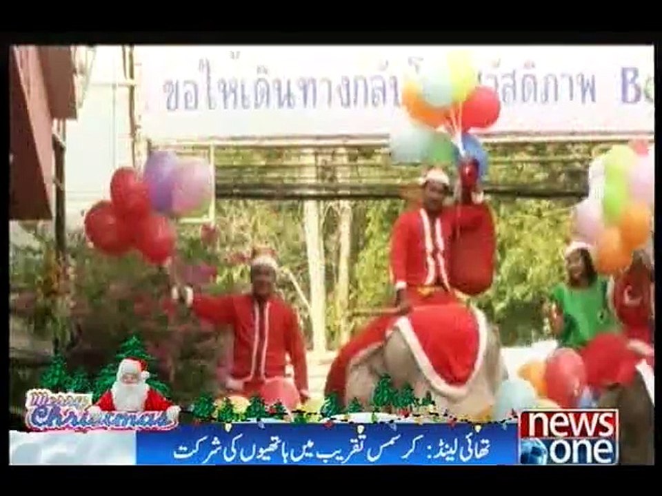 Elephant dressed as Santa Claus to celebrate Christmas in Thailand