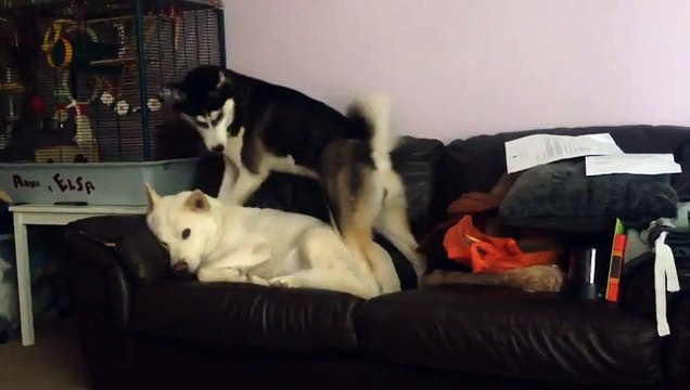 Да обрати ты на меня внимание