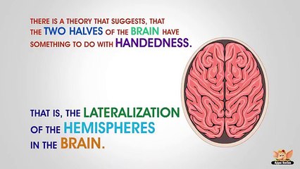 Why are some people Left Handed