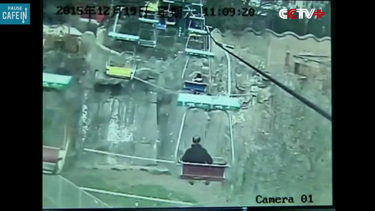 Il saute dans l'enclos des tigres, il a vraiment eu de la chance !