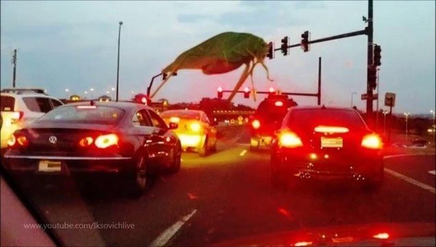 Машины Приколы Транспорт | Auto Comedy Transport