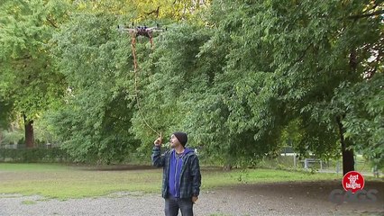 Teasing Dogs With a Drone