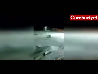 Vahşet! Kutup ayısına dinamit lokumu yedirip patlattılar