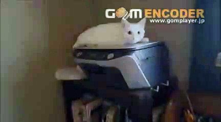 50 【レビュー／評判】お受験　あすか会　小学校受験合格講座 感想 動画 特典 購入 口コミ ブログ 評価 詐欺 ネタバレ