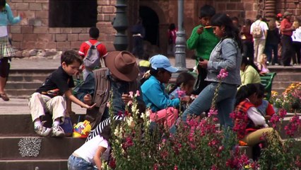 The Living Stones of Sacsayhuaman