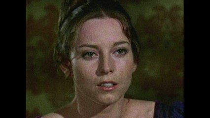 A TRIBUTE TO DOMINI BLYTHE