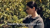 Etz Limon (Lemon Tree / Limon Ağacı) - Trailer Hiam Abbass, Rona Lipaz-Michael, Ali Suliman, Eran Riklis, Suha Arraf