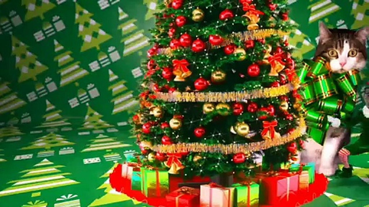 Merry Christmas 2015