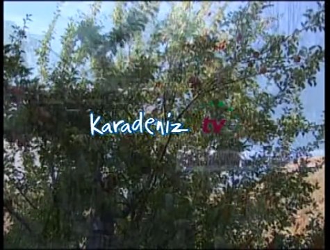 Erkan Ocaklı - Kolbastı