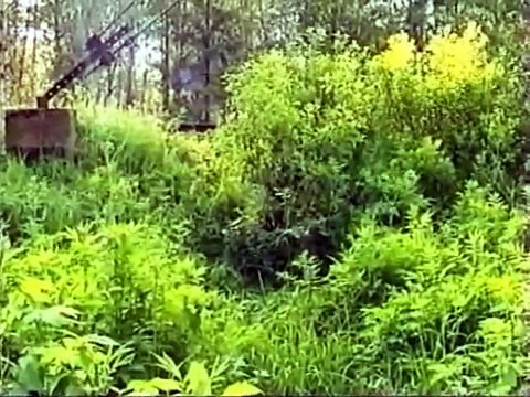 Искусство снайпера 8.Ошибки при выборе позиции