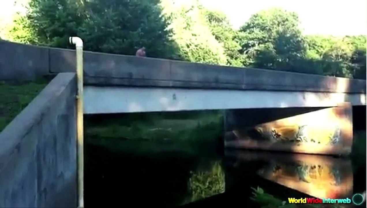 The Ultimate Belly Flop Fails Compilation