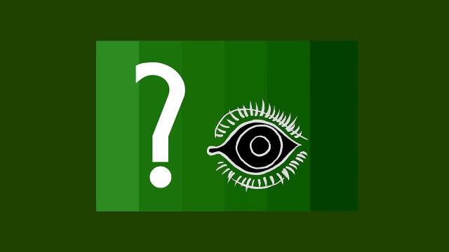 Почему оттенки зелёного наши глаза различают лучше
