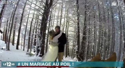 Un couple fait filmer son mariage par son chien - ZAPPING ACTU HEBDO BEST-OF DU 26/12/2015