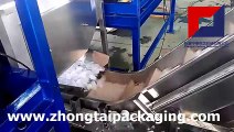 Automatic Ice Packaging Machine