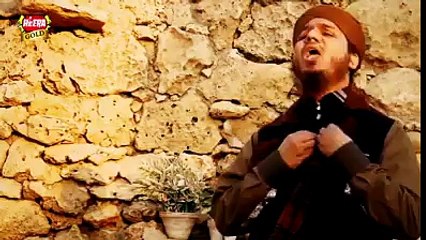 Tahir Qadri New Naat میلاد النبی HD جشن عید HD