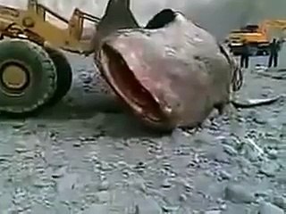 Вот это РЫБА ))