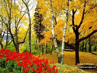 Bangla Hamd-Naat- Mashjid Eri Pashe Amar Kabar - Kazi Nazrul Islam