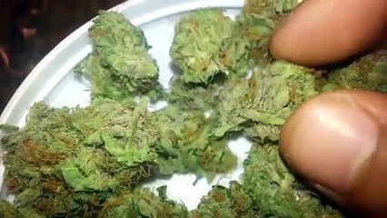 Marijuana Indoor Grow Harvest (www.medicalmarijuanaforsale.net)