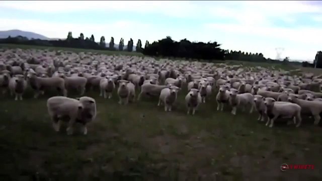 слава украине