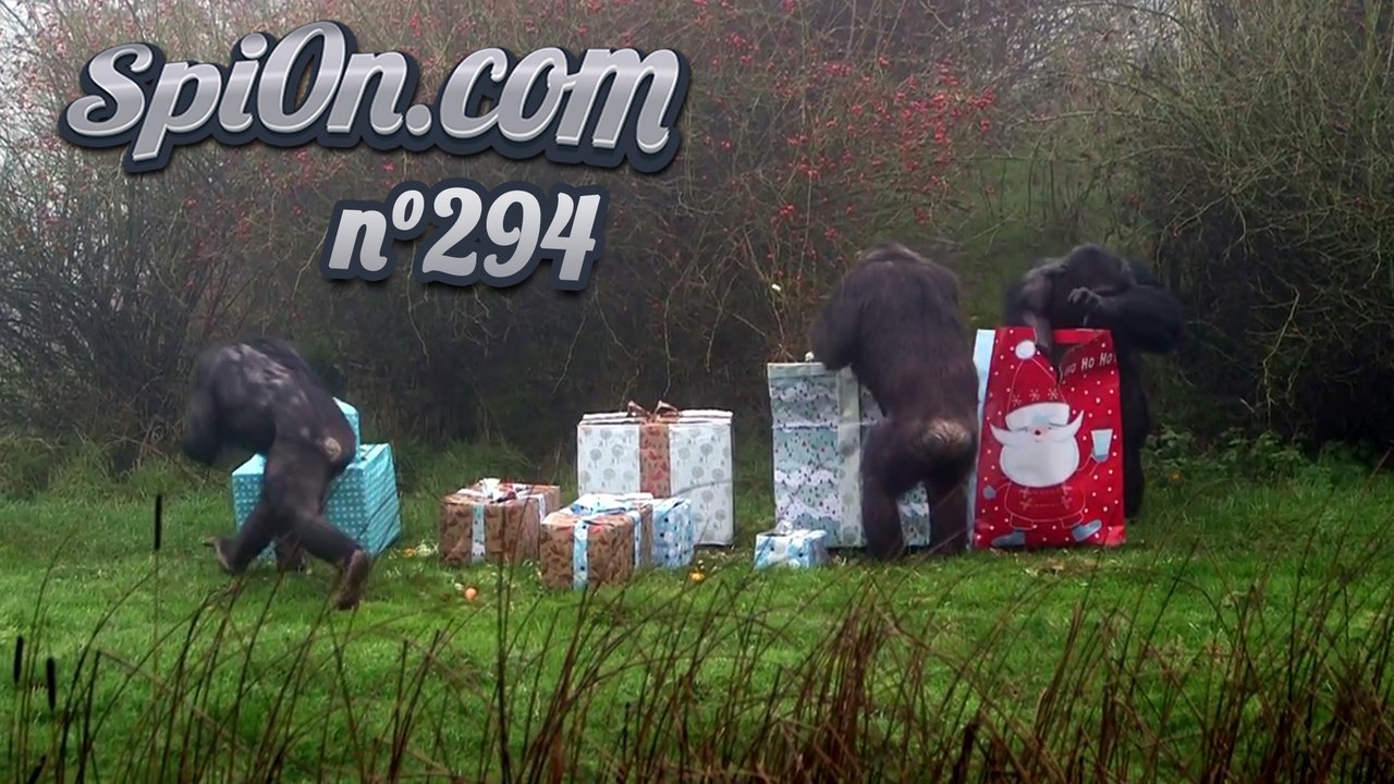 Le Zap de Spi0n n°294 - Zapping du Web
