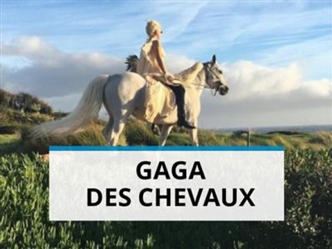 Un très (très) gros cadeau de Noël pour Lady Gaga