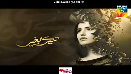 Tere Baghair Hum Tv Drama Episode 7 Full (24 December 2015)