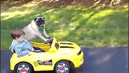Alfonso Ribeiro Reads 'Twas the Night Before Christmas