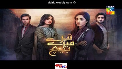 Tere Mere Beech Hum Tv Drama (Next Episode 6 Promo) on (28 December 2015)