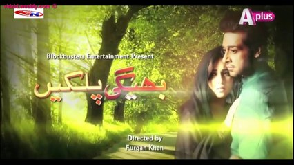 Bheegi Palkein A-Plus Tv Drama (Additional Pack) (25 December 2015)