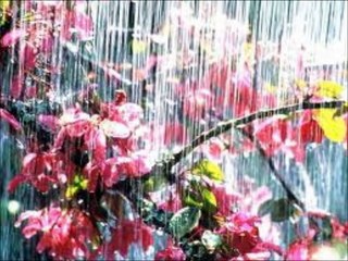 Kibariye - Çok Kara Kışlar Gördüm Ben Yine Pes Etmedim