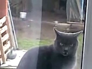 Приколы! Саня, открой ))