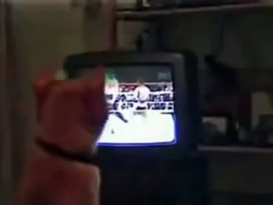 приколы с котами!  кот бокс смотрит mp4