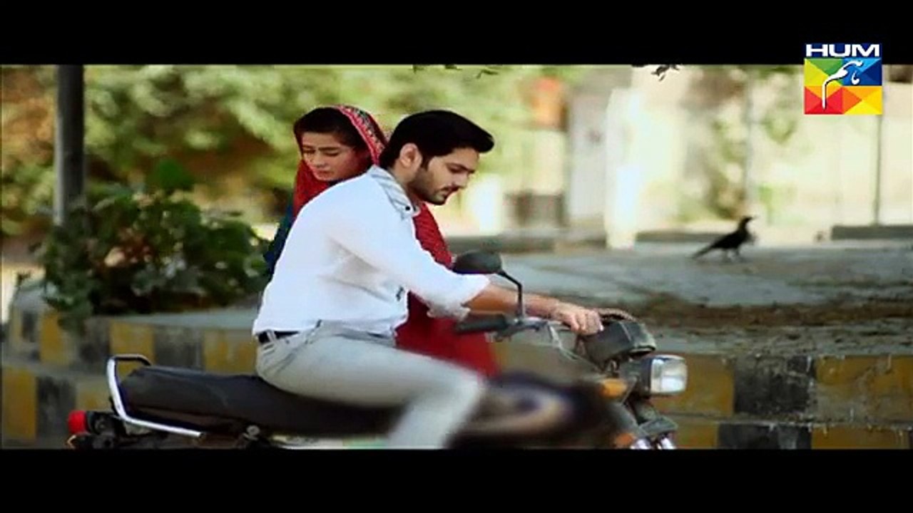 Mera Dard Na Jany Koi Episode 42 Full HUM TV Drama 24 Dec 2015