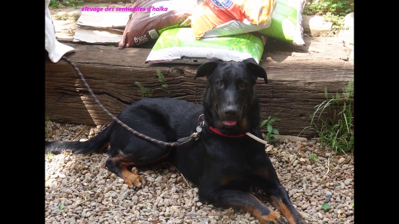 indy un pure moment de tendresse