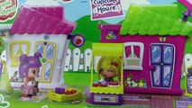MLP Shopkins Pinypon Apple Picking Orchard Playset My Little Pony Toy Review