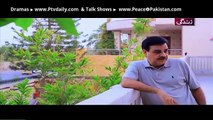 Manzil Kahin Nahi » ARY Zindagi » Episode t32t»  24th December 2015 » Pakistani Drama Serial